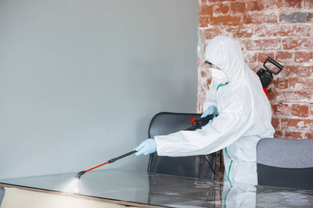 Best Mold Remediation for Rental Properties  in USA